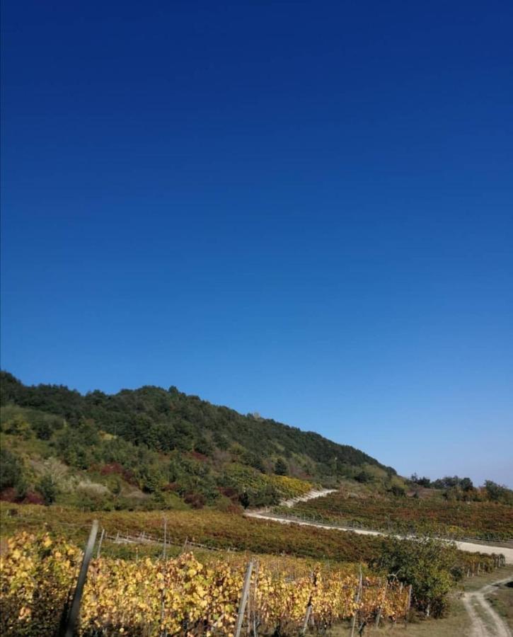 Ca' Del Passero B&B Vigoleno ภายนอก รูปภาพ